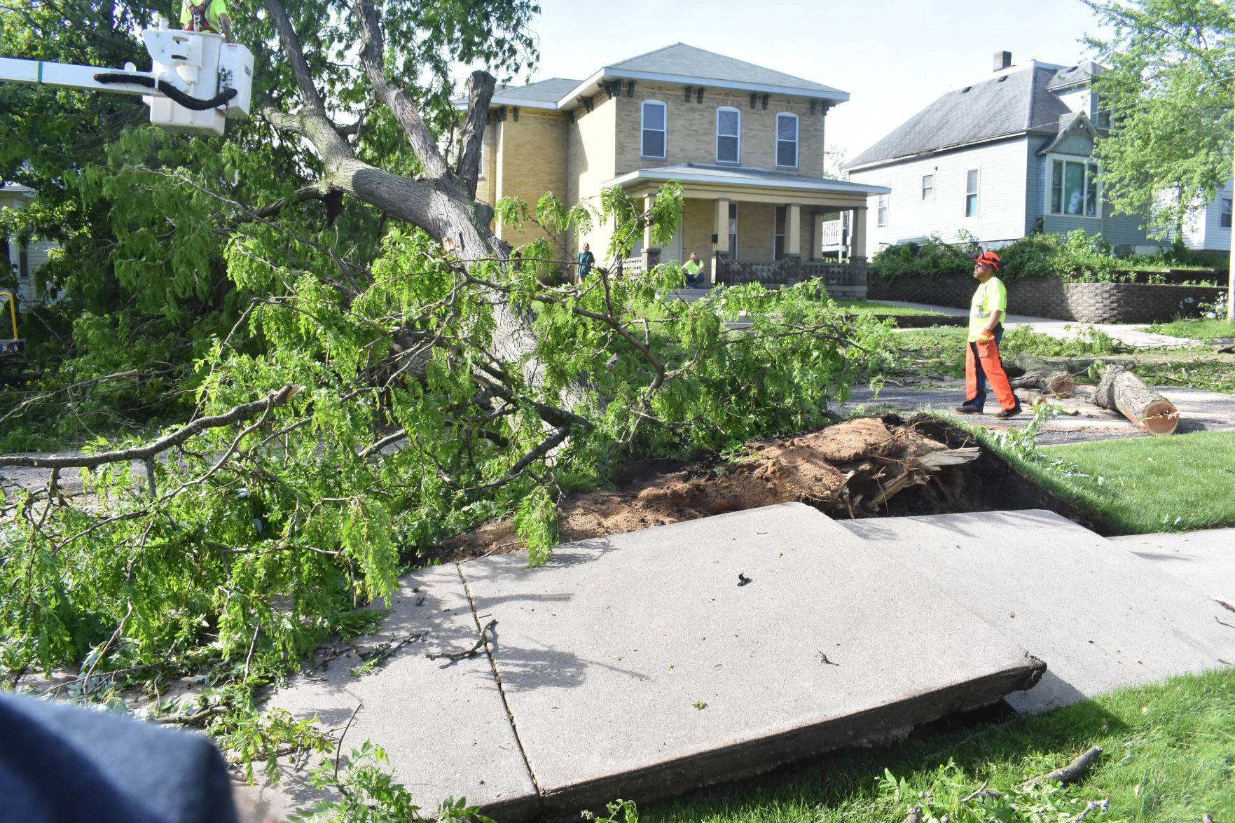 Uprooted sidewalk panels